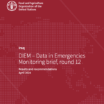 DIEM – Data in Emergencies Monitoring brief, round 12